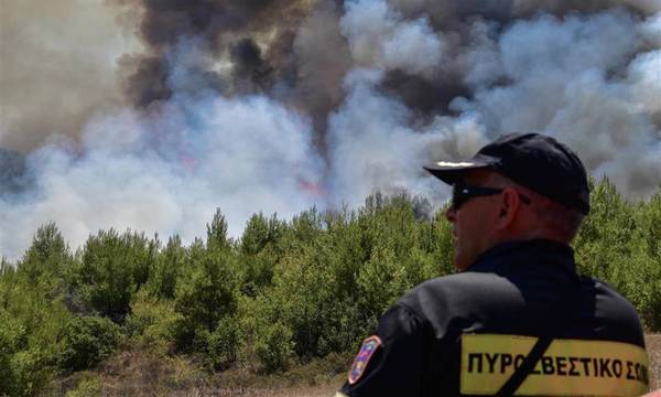 Σύλληψη για εμπρησμό από πρόθεση στα Χανιά Κρήτης