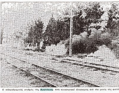 Σαν σήμερα το 1977 ξεκίνησε η τρομερή πυρκαγιά στον Παρνασσό