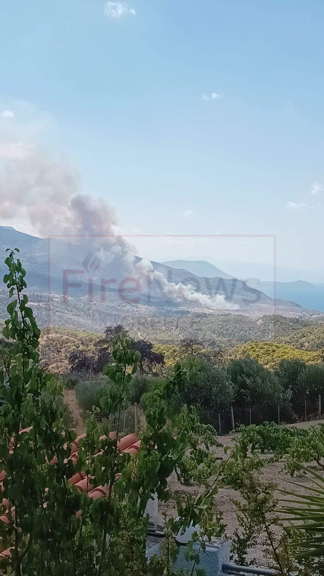 Πυρκαγιά σε δασική έκταση στην περιοχή Αιγειρούσες Μεγάρων Αττικής