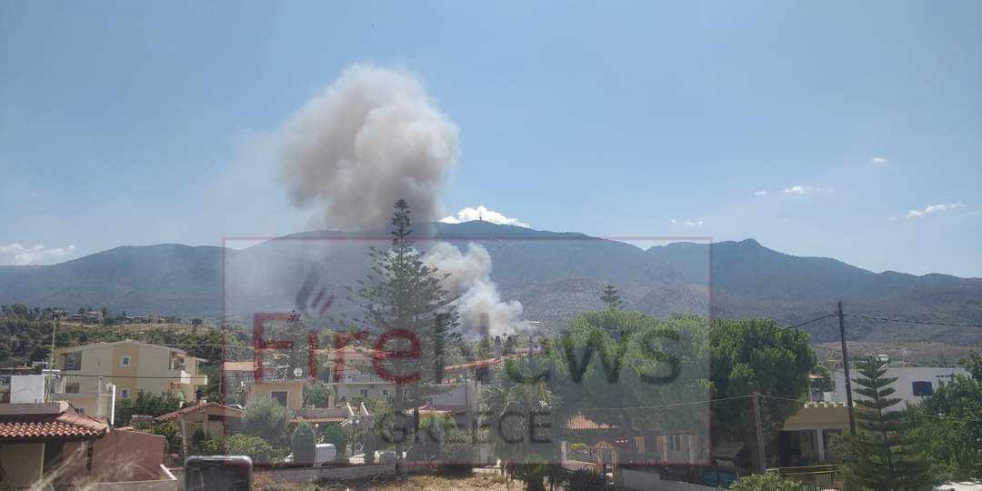 Πυρκαγιά σε δασική έκταση στην περιοχή Αιγειρούσες Μεγάρων Αττικής