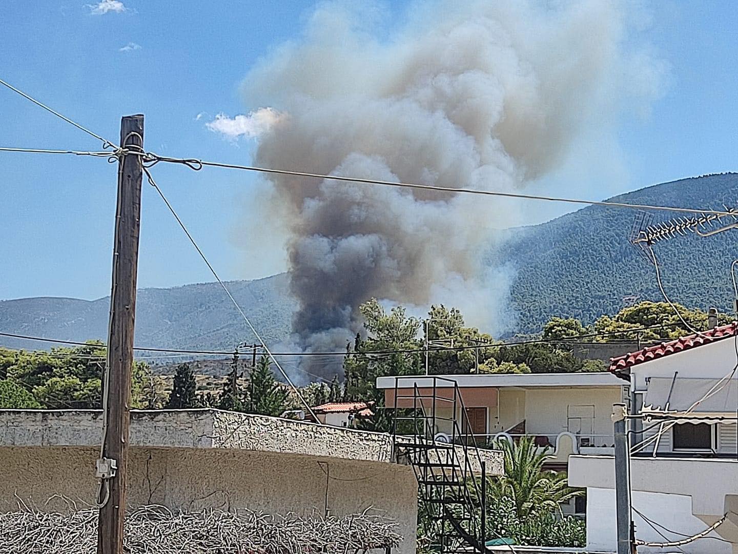 Πυρκαγιά σε δασική έκταση στην περιοχή Αιγειρούσες Μεγάρων Αττικής