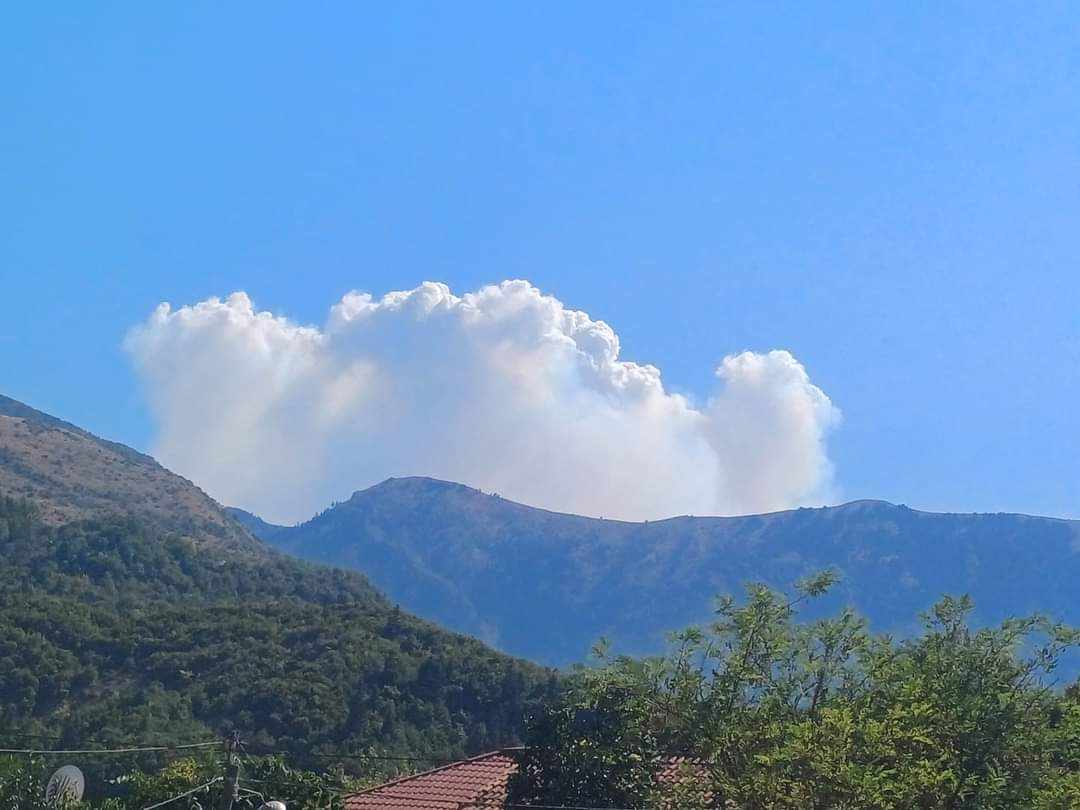 Πυρκαγιά σε δασική έκταση στην περιοχή Παλαμπάς Θεσπρωτίας