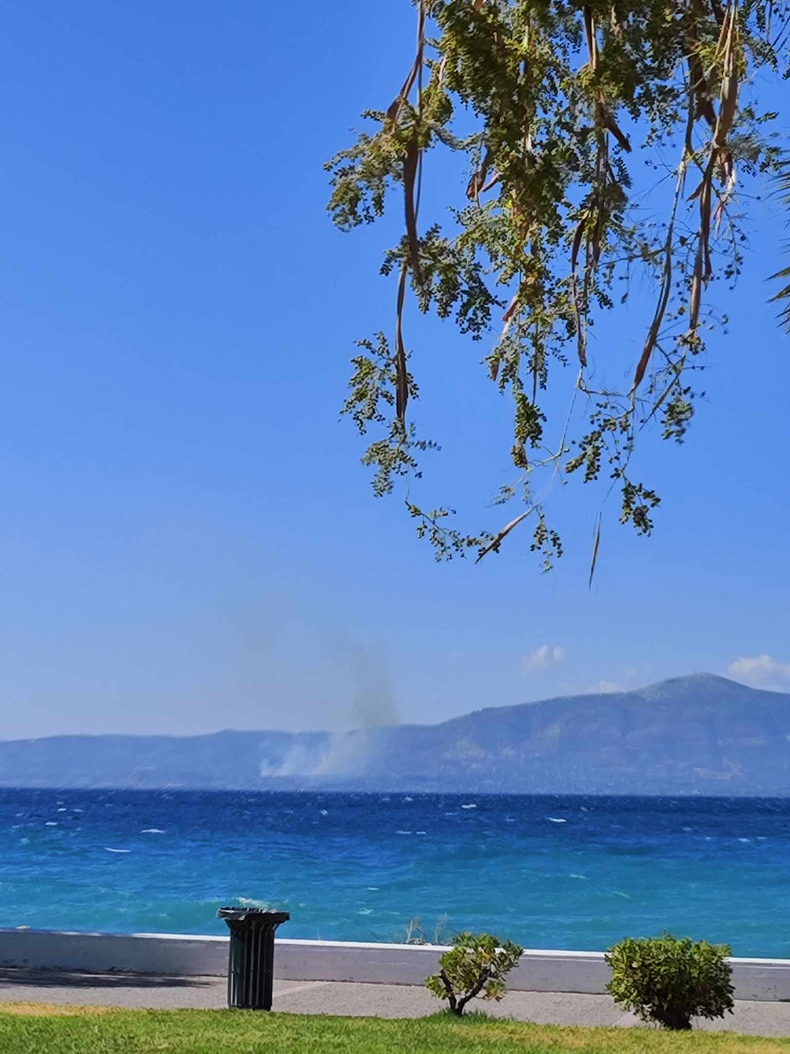 Πυρκαγιά σε δασική έκταση στην περιοχή Αγίας Κυριακής Ερέτριας