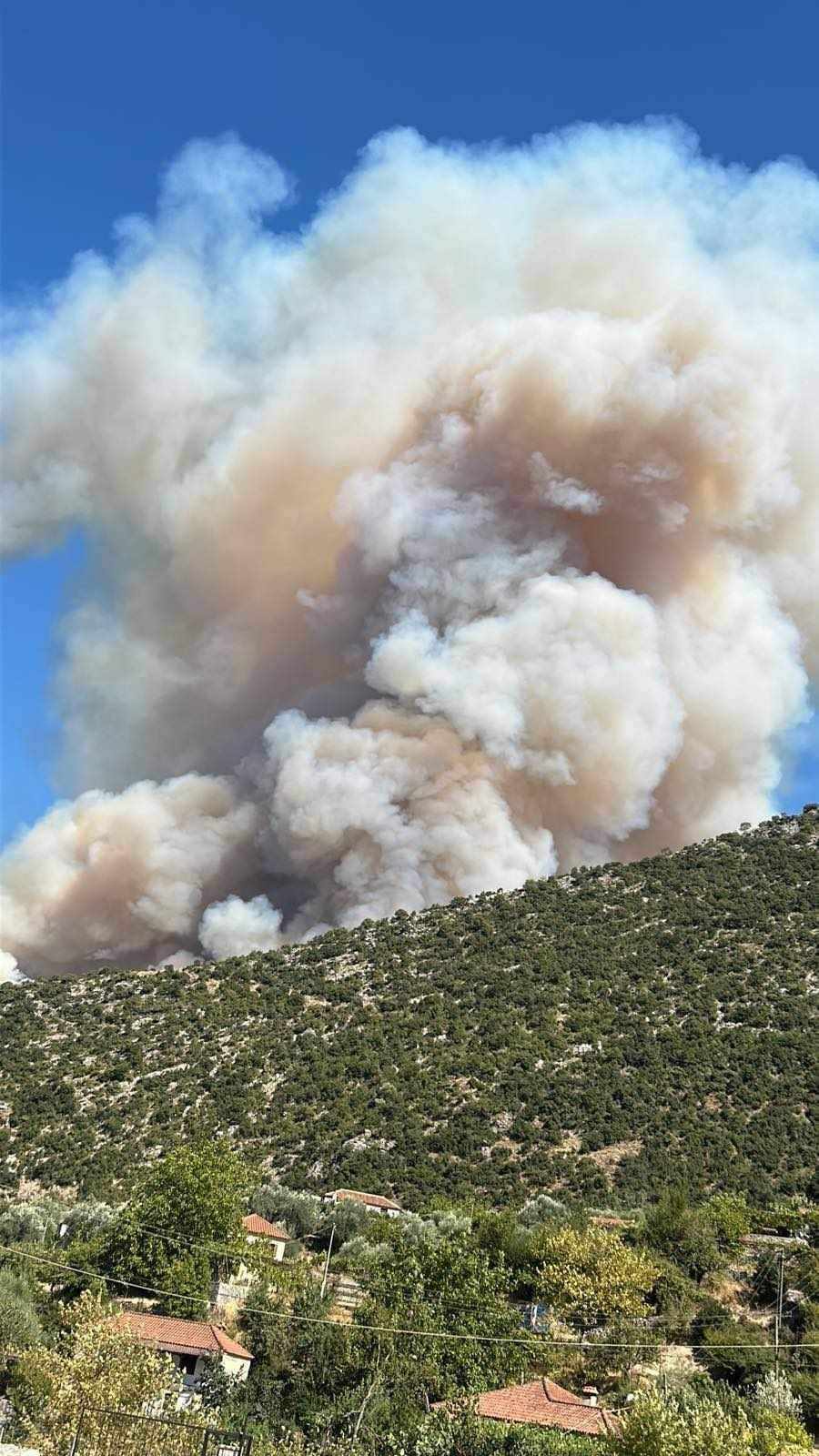 Πυρκαγιά σε δασική έκταση στην περιοχή Παλαμπάς Θεσπρωτίας