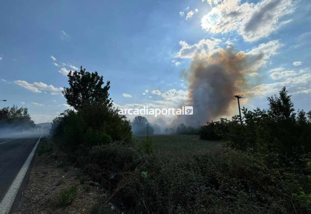 Πυρκαγιά σε αγροτική έκταση στην περιοχή Δεμίρι Αρκαδίας