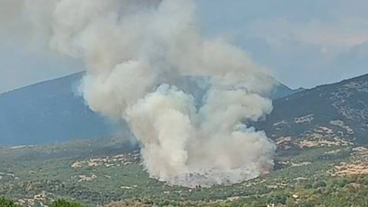 Πυρκαγιά σε δασική έκταση στην περιοχή Στεγνό Καβάλας