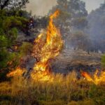 Πυρκαγιά σε χαμηλή βλάστηση στην περιοχή Άσπρος Πολύκαστρου Κιλκίς