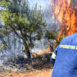 Πυρκαγιά σε χαμηλή βλάστηση στο Κατράκειο Νίκαιας Αττικής