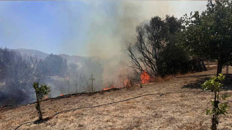 Πυρκαγιά σε χαμηλή βλάστηση επί της οδού Φαλαισίας στο Κορωπί