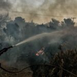 Πυρκαγιά σε δασική έκταση στην περιοχή Αγίας Κυριακής Ερέτριας