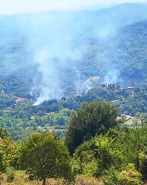 Πυρκαγιά σε δασική έκταση στην περιοχή Βαδίστρα Ιωαννίνων