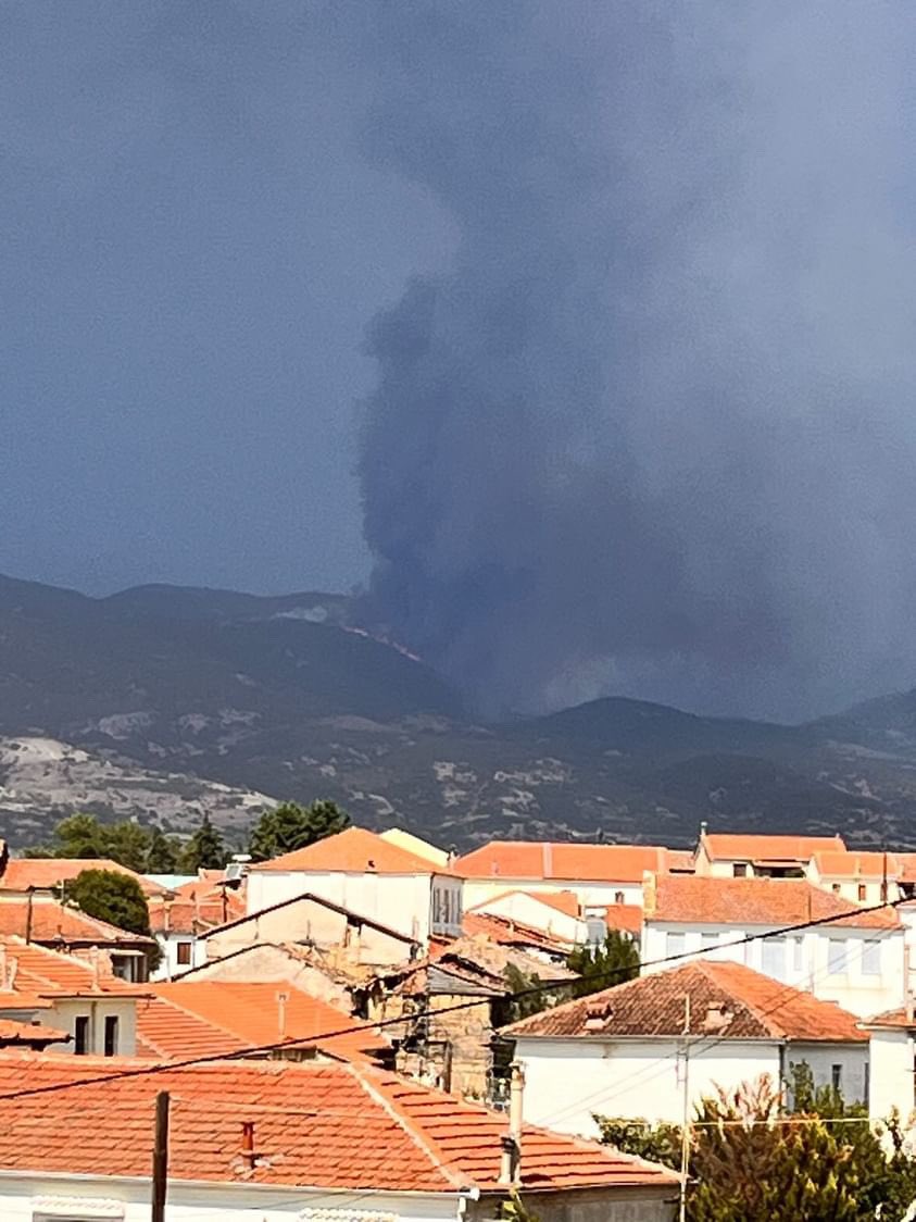 Πυρκαγιά σε δασική έκταση στην περιοχή Δαφνούδι Σερρών