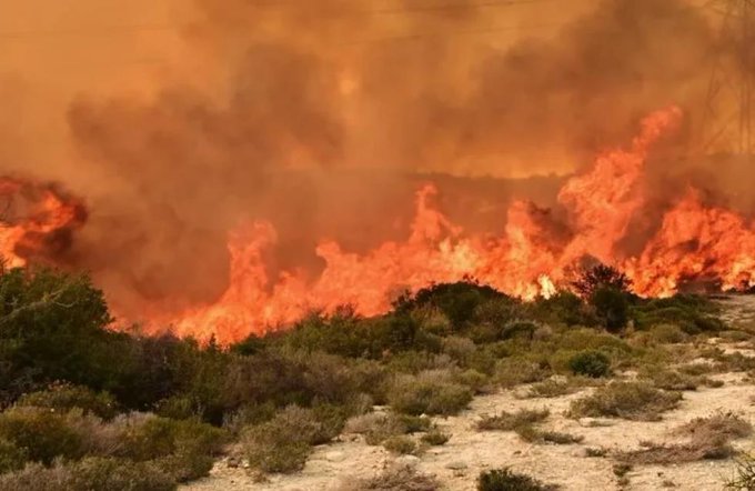 Πυρκαγιά σε δασική έκταση στην περιοχή Δαφνούδι Σερρών