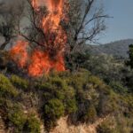 Πυρκαγιά σε αγροτοδασική έκταση στην περιοχή Πάστρα Κεφαλλονιάς