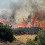 Πυρκαγιά σε χαμηλή βλάστηση στη Γενισέα Ξάνθης