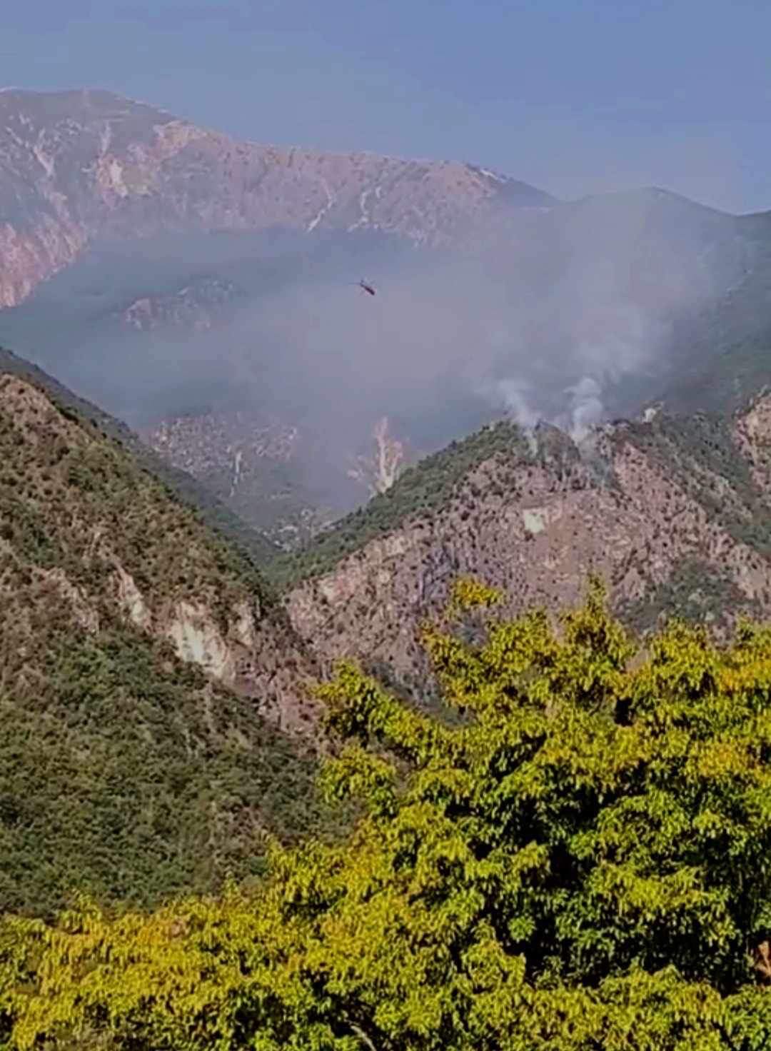 Πυρκαγιά σε δασική έκταση στην περιοχή Λουτράκι Πέλλας