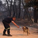 Πυροσβεστική: 29 αγροτοδασικές πυρκαγιές το τελευταίο 24ωρο