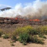 Συλλήψεις για εμπρησμό από πρόθεση και κατ’ εξακολούθηση στη Νέα Μάκρη, του Δήμου Μαραθώνα Αττικής