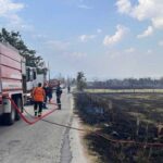 Επιβολή διοικητικών προστίμων για καύσεις υπολειμμάτων σε Ρόδο, Αττική, Αχαΐα και Λάρισα