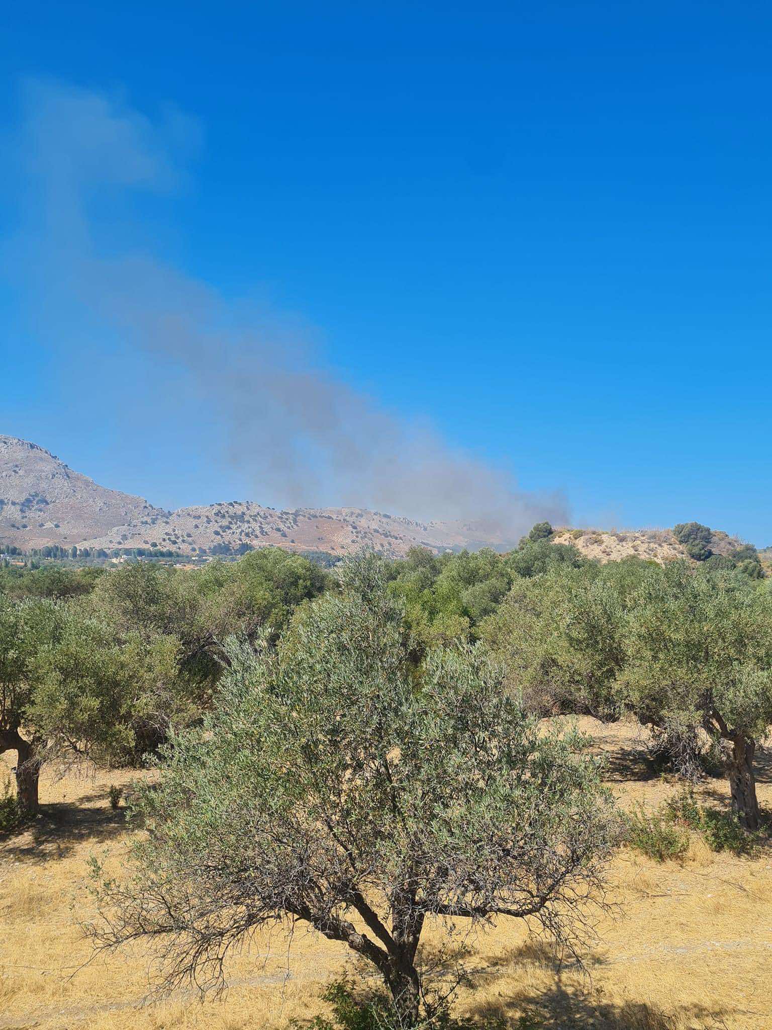 Πυρκαγιά σε χαμηλή βλάστηση στην περιοχή Κολύμπια Ρόδου