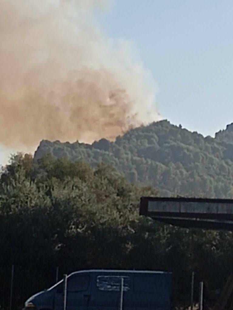 Πυρκαγιά σε δασική έκταση στην περιοχή Έφυρα Ηλείας