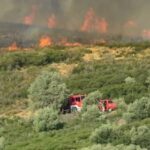 Πυρκαγιά σε δασική έκταση στην περιοχή Τοξότες Ξάνθης