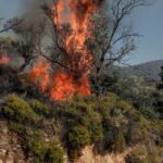 Πυροσβεστική: 29 αγροτοδασικές πυρκαγιές το τελευταίο 24ωρο