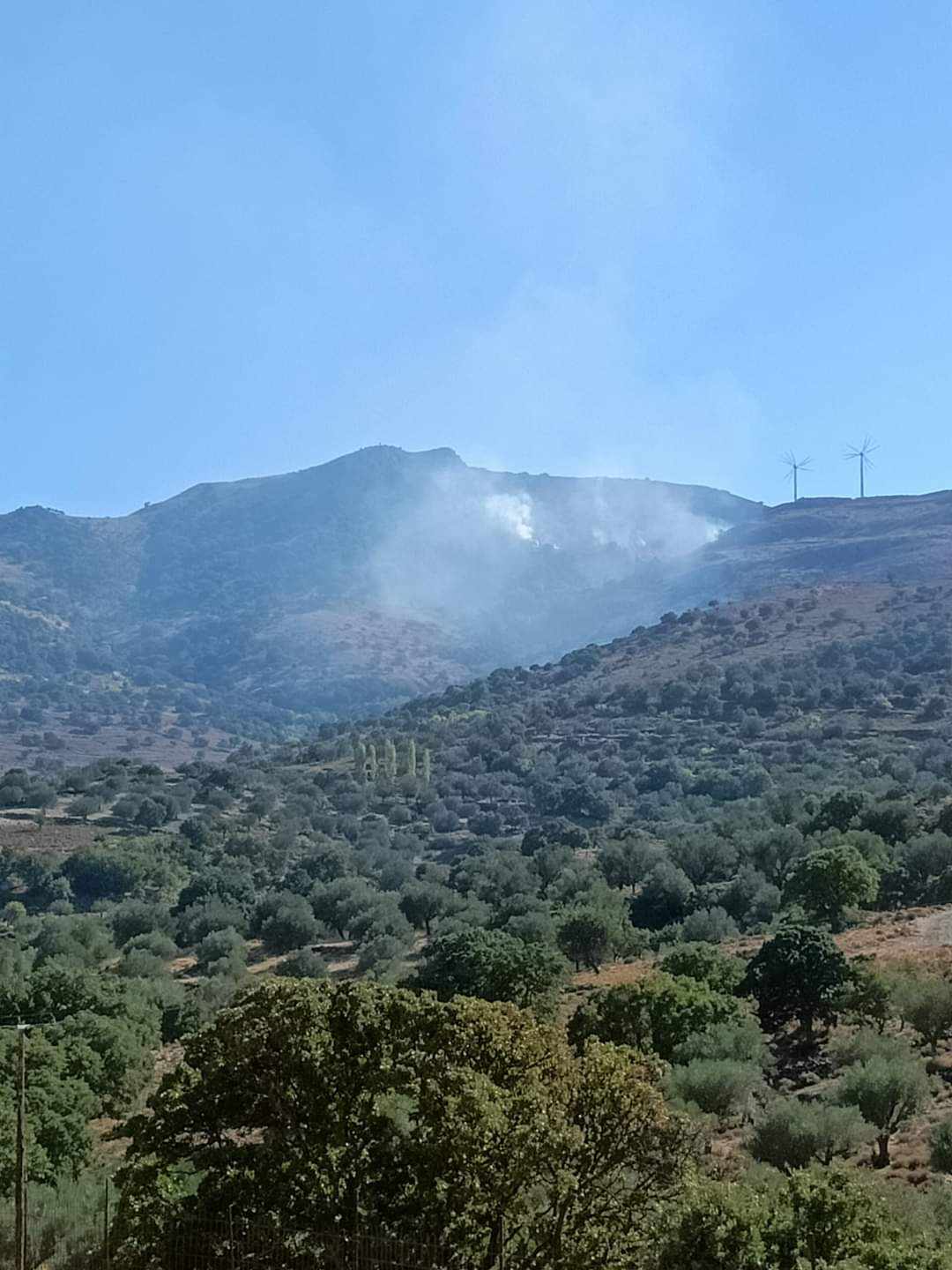 Πυρκαγιά σε χαμηλή βλάστηση στην περιοχή Τζίθρα Λέσβου