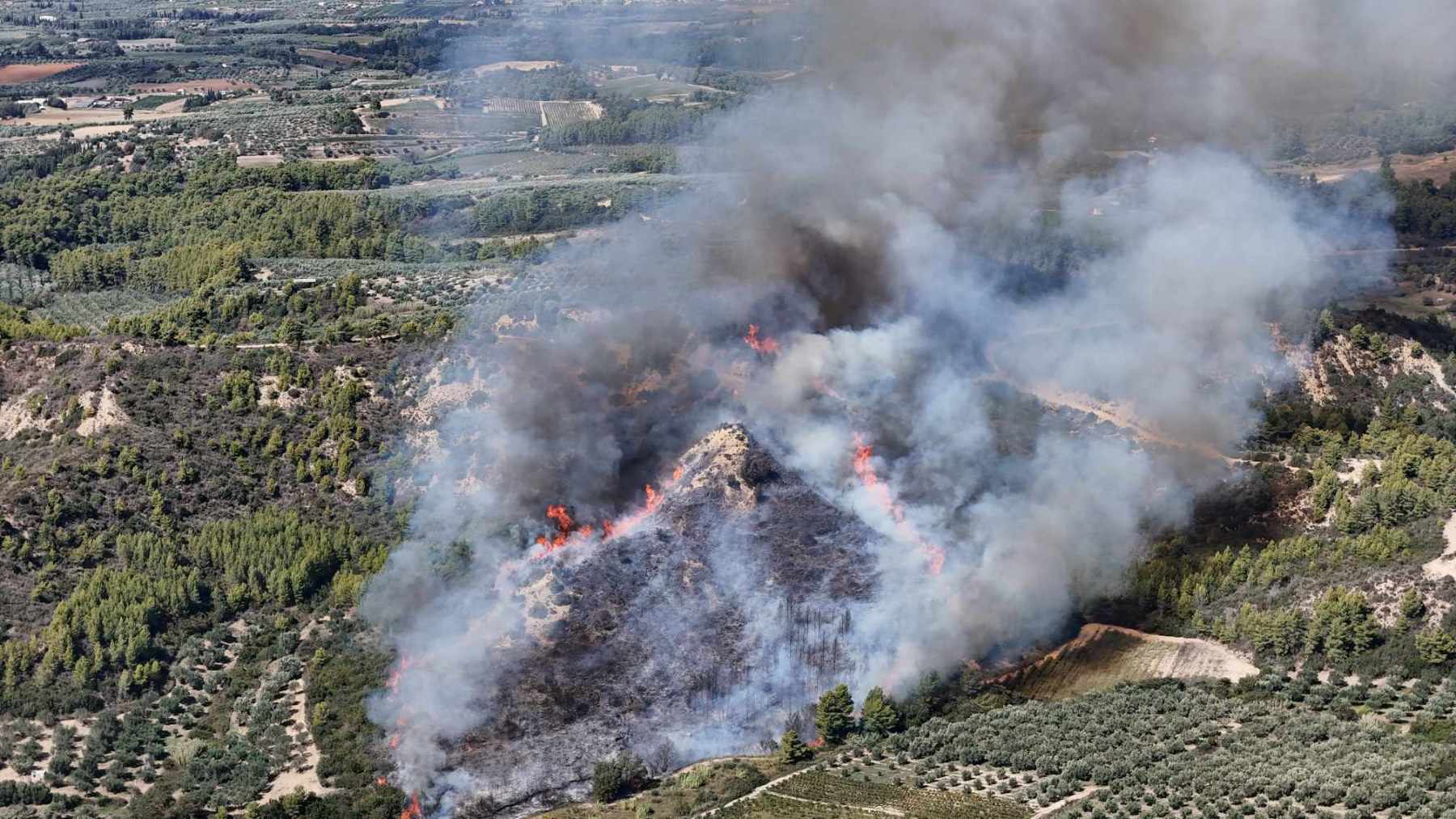 Πυρκαγιά σε δασική έκταση στην περιοχή Γεράκι Ηλείας