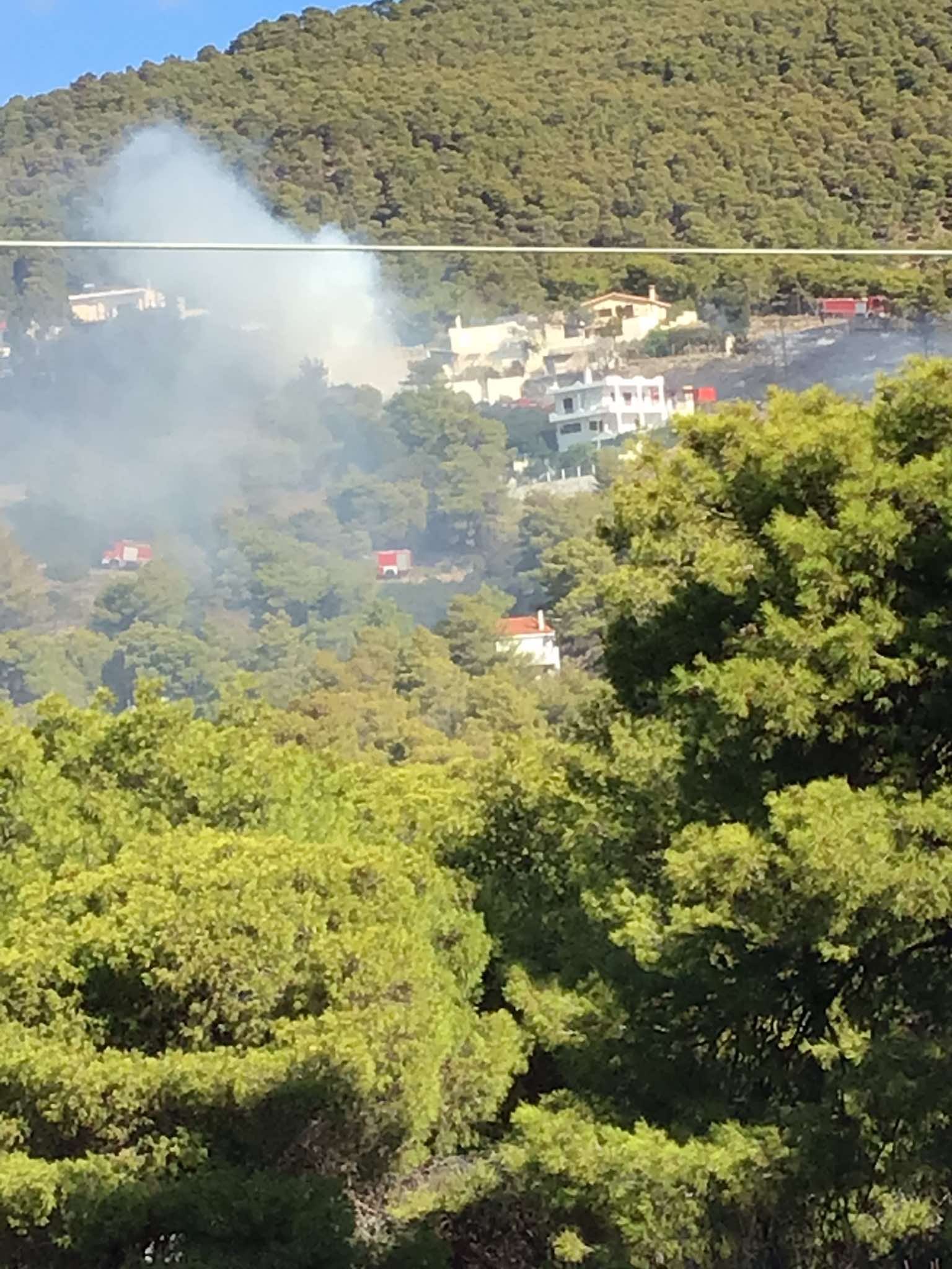 Πυρκαγιά σε χαμηλή βλάστηση στην περιοχή Διόνυσος Κερατέας Αττικής