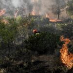 Διήμερο φόρουμ στη Μεσσήνη για την κλιματική κρίση και τις δασικές πυρκαγιές