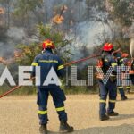 Πυρκαγιά στην Ηλεία: Σοβαρός τραυματισμός πυροσβέστη