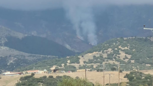 Υπό μερικό έλεγχο η πυρκαγιά στο Λιβάδι Ελασσόνας