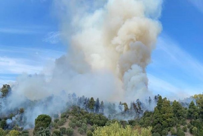 Υπό μερικό έλεγχο τέθηκε η πυρκαγιά στην περιοχή Τριπόταμος Χαλκιδικής