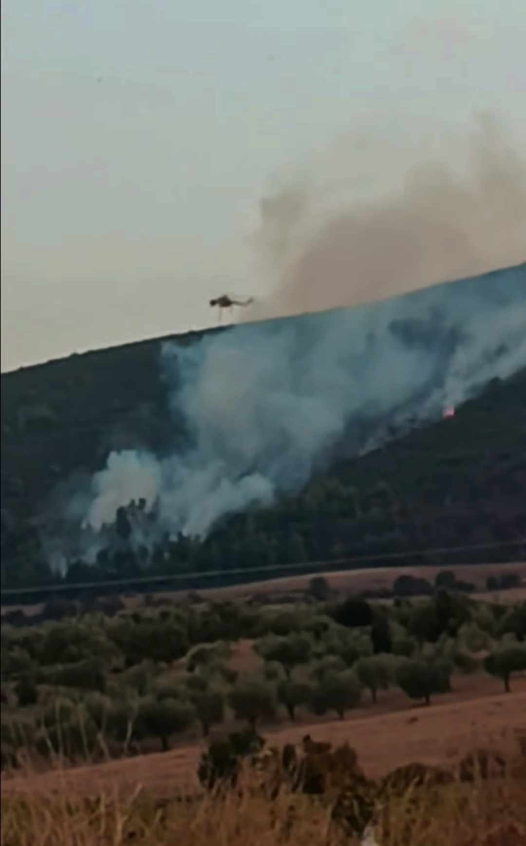 Πυρκαγιά σε δασική έκταση στη θέση «Ραχούλα» στην Τανάγρα Βοιωτίας