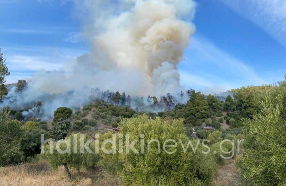 Πυρκαγιά σε χαμηλή βλάστηση στην περιοχή Τριπόταμος Χαλκιδικής