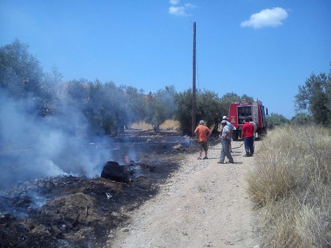 Υπό έλεγχο τέθηκε η πυρκαγιά σε ελαιώνα στο Βασιλικό Θεσπρωτίας