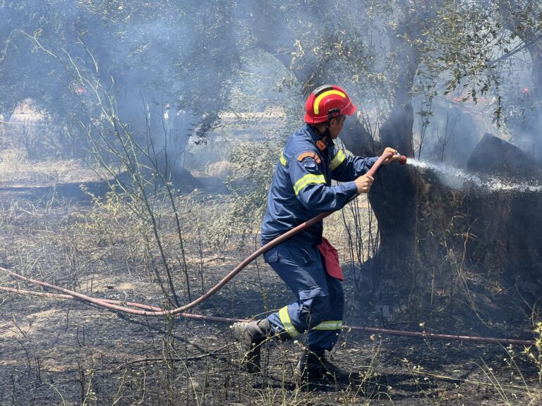 Πυροσβεστική: 9 αγροτοδασικές πυρκαγιές το τελευταίο 24ωρο