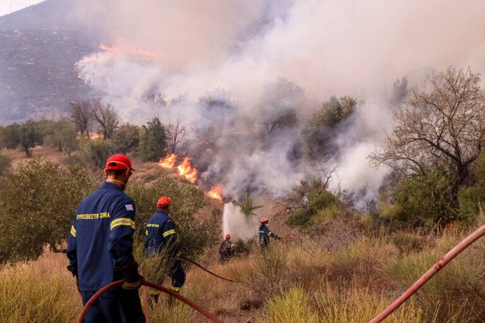 Πυροσβεστική: 42 αγροτοδασικές πυρκαγιές το τελευταίο 24ωρο