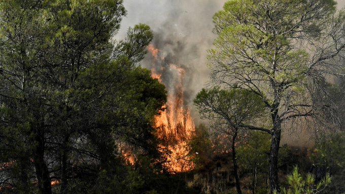 Πυρκαγιά σε δασική έκταση στη θέση « Γιδοβουνό» Καστοριάς