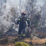 Πυρκαγιά σε δασική έκταση στην περιοχή Ζούρβα Χανίων Κρήτης