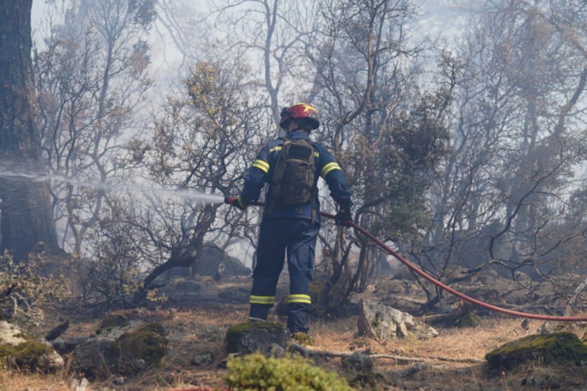 Πυρκαγιά σε δασική έκταση στην περιοχή Ζούρβα Χανίων Κρήτης