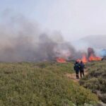 Σύλληψη για πυρκαγιά σε αγροτική έκταση στη νήσο Θήρα