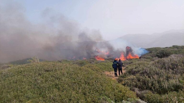 Σύλληψη για πυρκαγιά σε αγροτική έκταση στη νήσο Θήρα