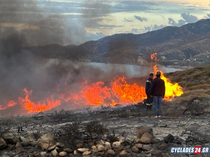 Πυρκαγιά σε χαμηλή βλάστηση στην Νάξο