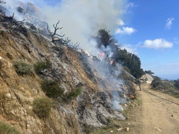 Άμεσα τέθηκε υπό έλεγχο η πυρκαγιά στην Κορωνίδα Νάξου