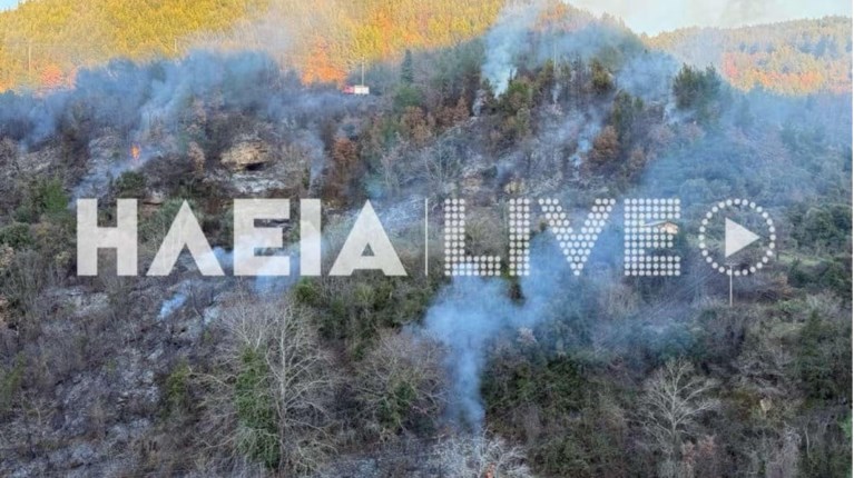 Υπό μερικό έλεγχο τέθηκε η πυρκαγιά σε δασική έκταση στην Πεύκη Ηλείας