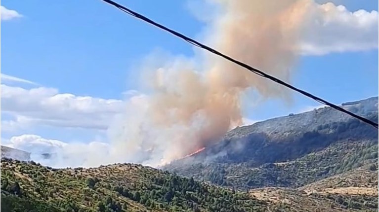 Πυρκαγιά σε δασική έκταση στη Βλάστη Κοζάνης