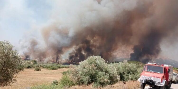 Αυστηρά πρόστιμα και συλλήψεις για καύσεις υπολειμμάτων καλλιεργειών